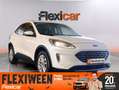 Ford Kuga 1.5 EcoBlue Titanium FWD 120 Aut. Blanco - thumbnail 1