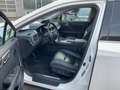 Lexus RX 450h Luxury Line Zuverlässiger SUV*Gepflegt Weiß - thumbnail 8