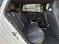 Volkswagen Passat Variant 2.0 TDI R-Line DSG BlackStyle iq. Weiß - thumbnail 15
