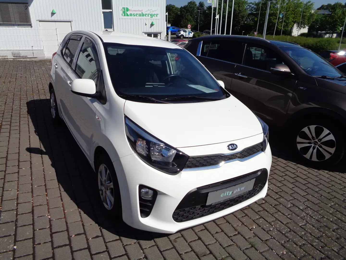 Kia Picanto Dream Team, Klima,Sitzheizung,Lenkradhzg Blanco - 1