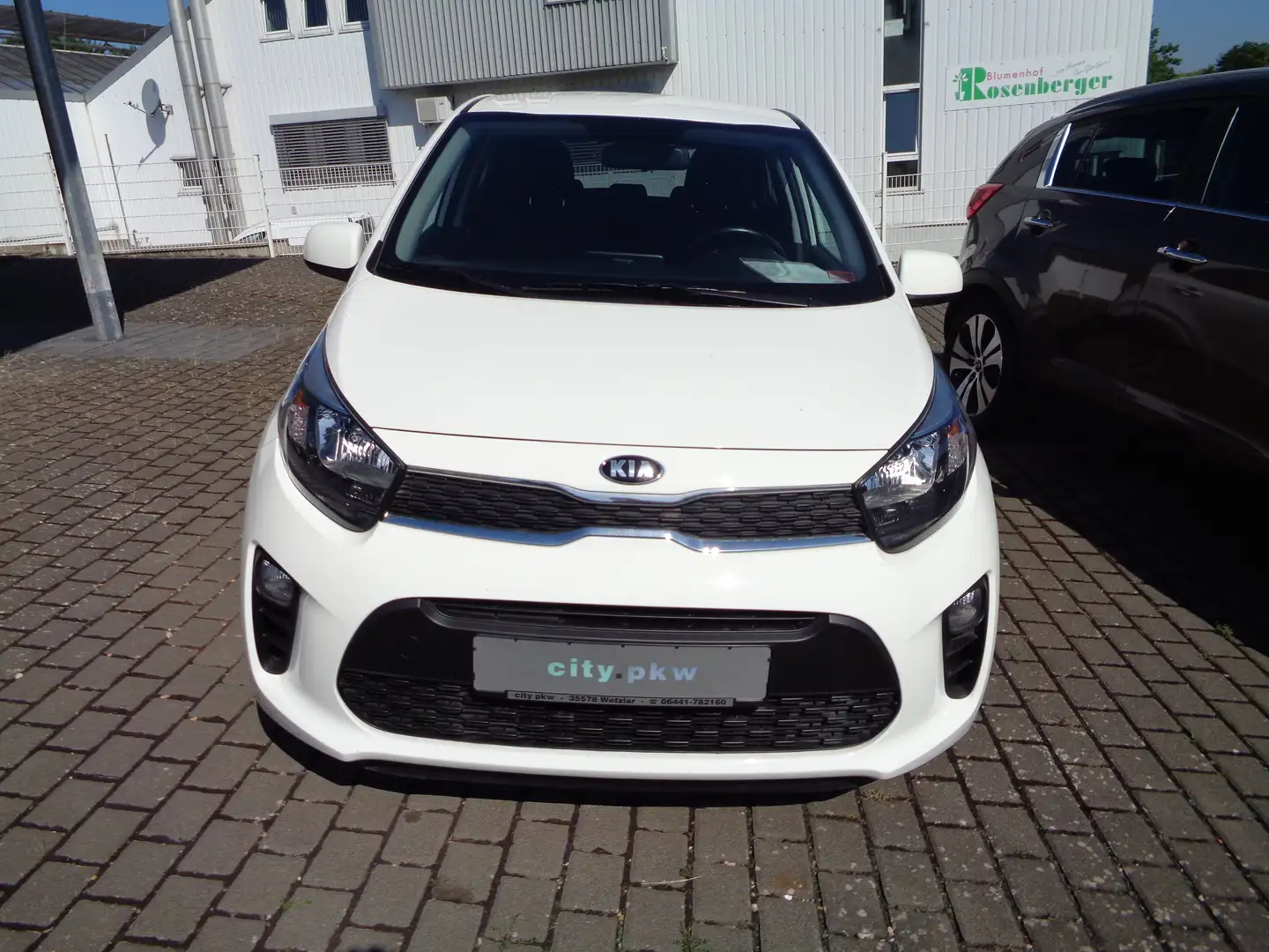 Kia Picanto Dream Team, Klima,Sitzheizung,Lenkradhzg Blanco - 2