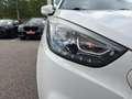 Hyundai iX35 iX35 Life 1,6 GDI TEMPOMAT+SHZ-VORNE/HINTEN+EINPA Weiß - thumbnail 9