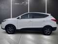 Hyundai iX35 iX35 Life 1,6 GDI TEMPOMAT+SHZ-VORNE/HINTEN+EINPA Weiß - thumbnail 8
