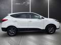 Hyundai iX35 iX35 Life 1,6 GDI TEMPOMAT+SHZ-VORNE/HINTEN+EINPA Weiß - thumbnail 4