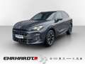 CUPRA Terramar 1.5 eTSI DSG DCC MATRIX*VIRTUAL*HEADUP*NAVI*ACC... Grau - thumbnail 1