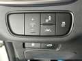 Kia Sorento 2.2 CRDi Platinum Edition 4WD Bílá - thumbnail 8