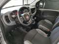 Fiat Panda Panda III 1.0 hybrid SENZA VINCOLI FINANZIARI Grigio - thumbnail 6