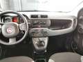 Fiat Panda Panda III 1.0 hybrid SENZA VINCOLI FINANZIARI Grigio - thumbnail 5