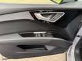 Audi Q4 e-tron 45 quattro Navi ACC RFK LED Grau - thumbnail 18