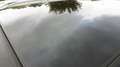 Kia Sportage GT-Line 4WD Grau - thumbnail 16