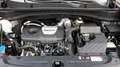 Kia Sportage GT-Line 4WD Grau - thumbnail 20