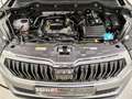 Skoda Karoq 1.0 TSI Ambition Winter|LED|AHK Grau - thumbnail 20