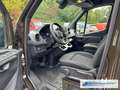 Mercedes-Benz Sprinter Kasten Maxi XXL Extra Lang 316CDI *EXPORT Marrone - thumbnail 14