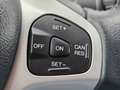 Ford Fiesta 1.25 Titanium /Dealer Onderhouden/Cruise/PDC/Trekh Grau - thumbnail 18