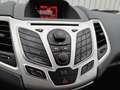 Ford Fiesta 1.25 Titanium /Dealer Onderhouden/Cruise/PDC/Trekh Grau - thumbnail 14