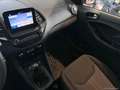 Ford Ka/Ka+ 1.2 85 CV S&S Active Schwarz - thumbnail 10