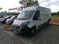 Fiat Ducato Maxi 160 Multijet L5H2 Euro 6d-temp AHK Bianco - thumbnail 1