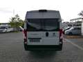 Fiat Ducato Maxi 160 Multijet L5H2 Euro 6d-temp AHK Bianco - thumbnail 4
