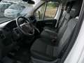 Fiat Ducato Maxi 160 Multijet L5H2 Euro 6d-temp AHK Bianco - thumbnail 9