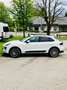 Porsche Macan Approved, El. Anhängerk. Panorama Dach Weiß - thumbnail 10