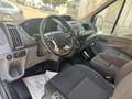 Ford Transit Kasten 350 L3 Trend Kamera/Sichtpaket Schwarz - thumbnail 12