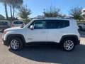 Jeep Renegade 1.6 mjt Limited 120cv E6 Wit - thumbnail 8