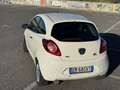 Ford Ka/Ka+ 1.3 UNICOPROPRIETARIO-TAGLIANDATA-NEOPATENTATI - thumbnail 2