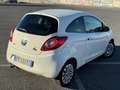Ford Ka/Ka+ 1.3 UNICOPROPRIETARIO-TAGLIANDATA-NEOPATENTATI - thumbnail 3