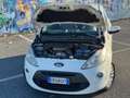 Ford Ka/Ka+ 1.3 UNICOPROPRIETARIO-TAGLIANDATA-NEOPATENTATI - thumbnail 13