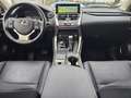 Lexus NX 300h NX 300h AWD Privilege Line + Pano + trekhaak Grijs - thumbnail 11