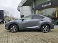 Lexus NX 300h NX 300h AWD Privilege Line + Pano + trekhaak Grijs - thumbnail 4