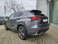 Lexus NX 300h NX 300h AWD Privilege Line + Pano + trekhaak Grijs - thumbnail 5