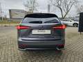 Lexus NX 300h NX 300h AWD Privilege Line + Pano + trekhaak Grijs - thumbnail 6