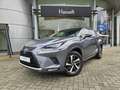 Lexus NX 300h NX 300h AWD Privilege Line + Pano + trekhaak Grijs - thumbnail 1