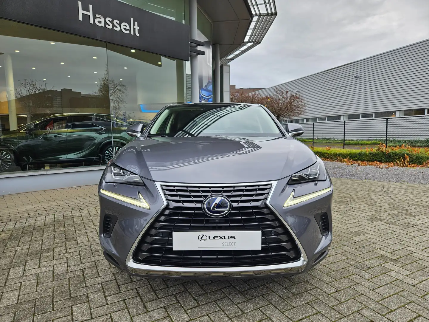 Lexus NX 300h NX 300h AWD Privilege Line + Pano + trekhaak Grijs - 2