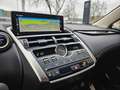 Lexus NX 300h NX 300h AWD Privilege Line + Pano + trekhaak Grijs - thumbnail 13