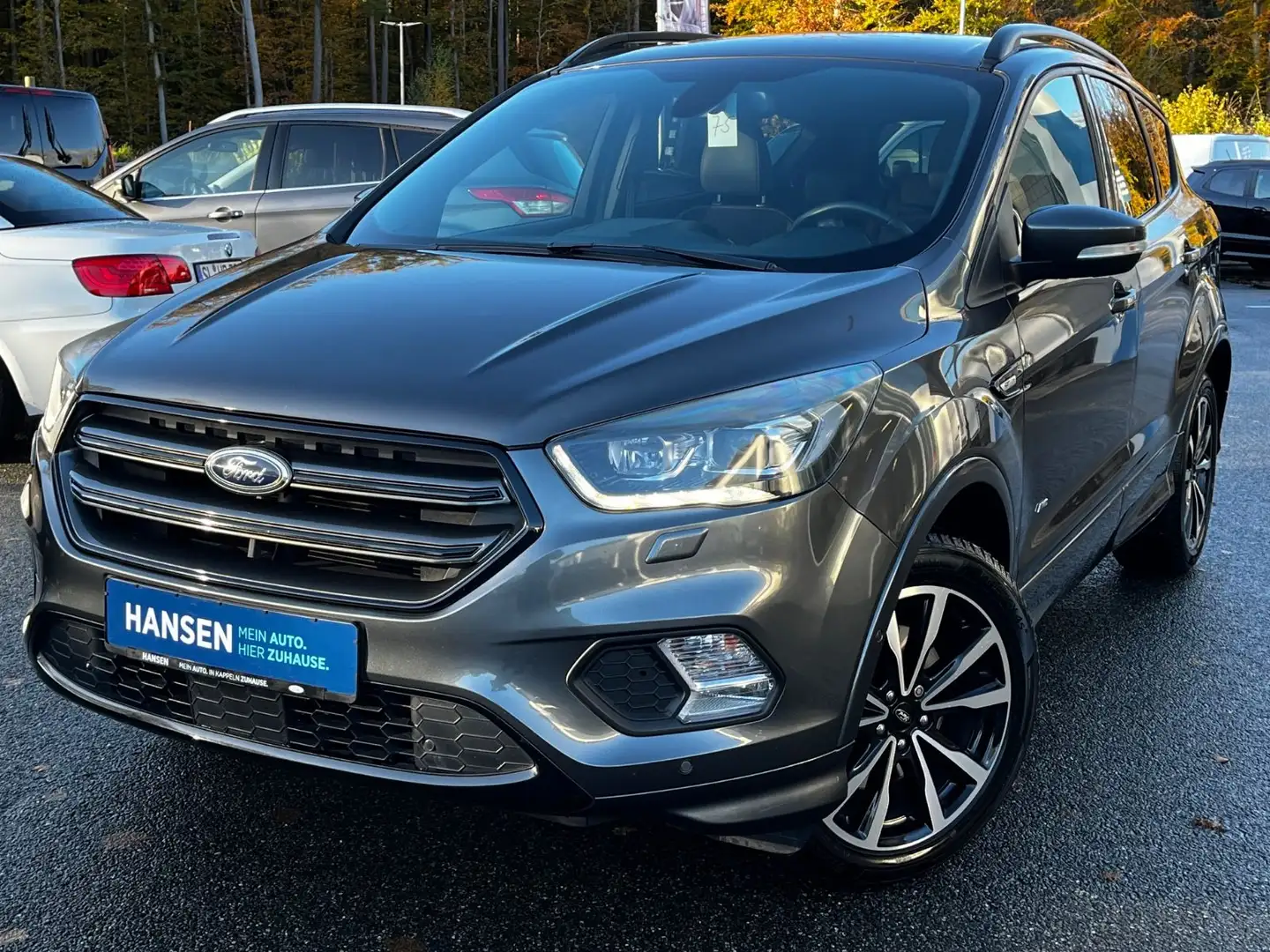 Ford Kuga ST-Line Automatik, 4x4, RFK, AHK, WinterP Grau - 1