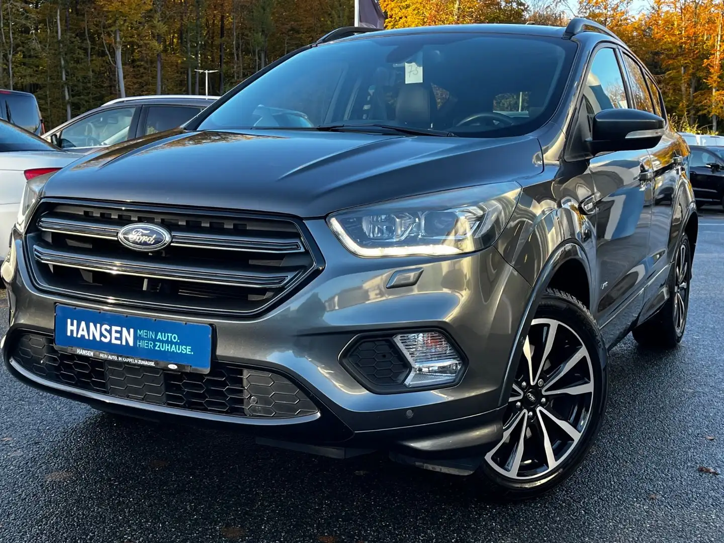 Ford Kuga ST-Line Automatik, 4x4, RFK, AHK, WinterP Grau - 2