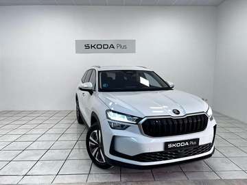 1.5TSI m-HEV Selection 4x2 DSG 110kW