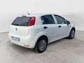 Fiat Punto Evo 4ª serie 1.2 8V 5 porte Street Blanco - thumbnail 12