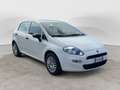 Fiat Punto Evo 4ª serie 1.2 8V 5 porte Street Blanco - thumbnail 4