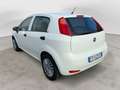 Fiat Punto Evo 4ª serie 1.2 8V 5 porte Street Blanco - thumbnail 14