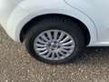 Fiat Punto Evo 4ª serie 1.2 8V 5 porte Street Blanco - thumbnail 16