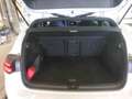 Volkswagen Golf R 2.0 TSI, DSG, 4MOTION, *V-MAX*, PERFOR, R Weiß - thumbnail 29
