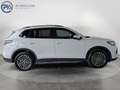 Volkswagen Tiguan Friends eTSI DSG Weiß - thumbnail 6