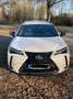 Lexus UX 250h Style Edition Weiß - thumbnail 2