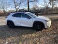 Lexus UX 250h Style Edition Weiß - thumbnail 3