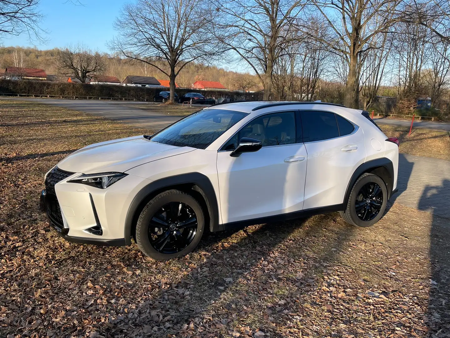 Lexus UX 250h Style Edition Weiß - 1