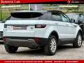 Land Rover Range Rover Evoque (2) 2.0 TD4 4X4 180 CV BVA9 Weiß - thumbnail 5