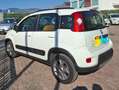 Fiat Panda Panda III 2012 4x4 1.3 mjt 16v Antartica 4x4 75cv Blanc - thumbnail 2